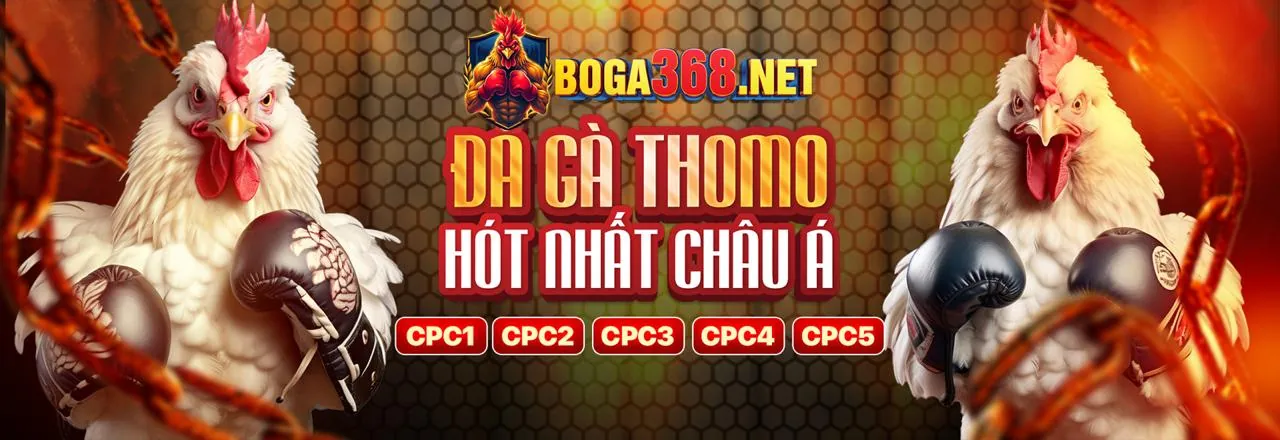 Đá gà trực tuyến C88 kịch tính